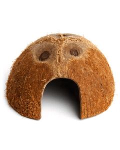 Komodo coconut den