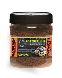 Komodo voer schildpad paardenbloem