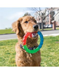 Kong twistz ring