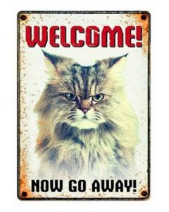 Plenty gifts waakbord blik grumpy cat