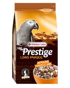 Prestige premium afrikaanse papegaai