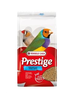 Prestige tropische vogel