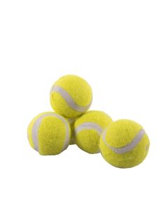 Rosewood jolly doggy tennisbal mini