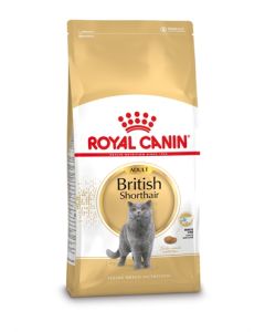 Royal canin british shorthair