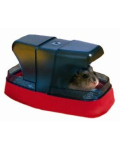 Savic hamstertoilet