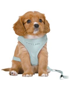 Trixie hondentuig junior puppy softtuig met riem mintgroen