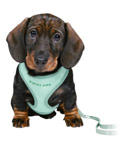 Trixie junior puppytuig soft met riem mintgroen