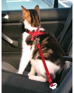 Trixie kattentuig voor in de auto rood