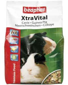 Xtravital cavia