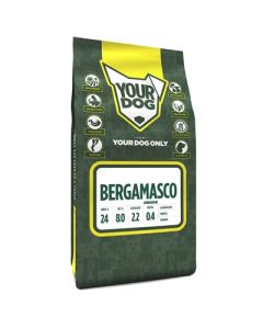 Yourdog bergamasco senior