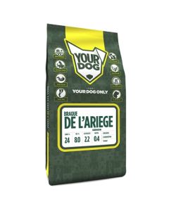 Yourdog braque de l'ariege senior