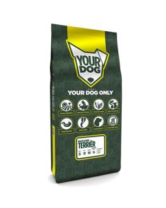 Yourdog braziliaanse terriËr senior