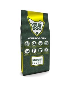 Yourdog chien d'artois senior