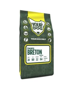 Yourdog epagneul breton senior