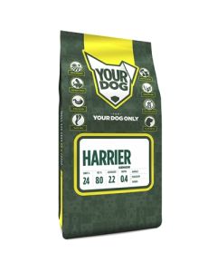 Yourdog harrier senior