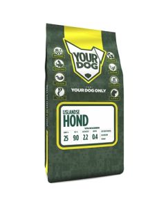 Yourdog ijslandse hond volwassen