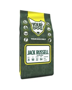 Yourdog jack russell volwassen