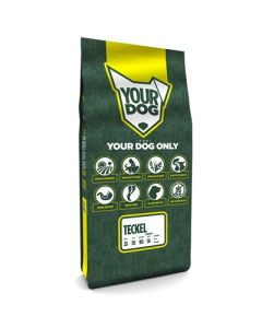 Yourdog teckel senior