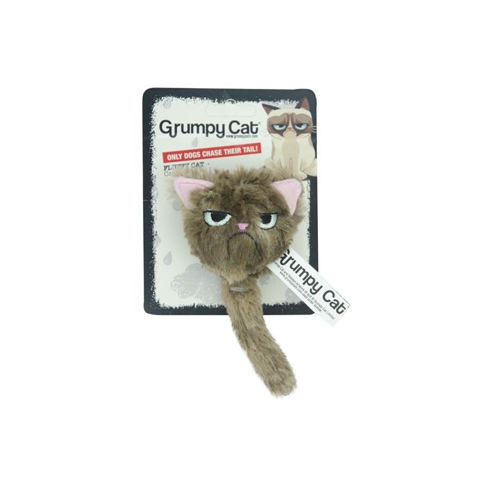 Grumpy cat fluffy grumpy cat met catnip