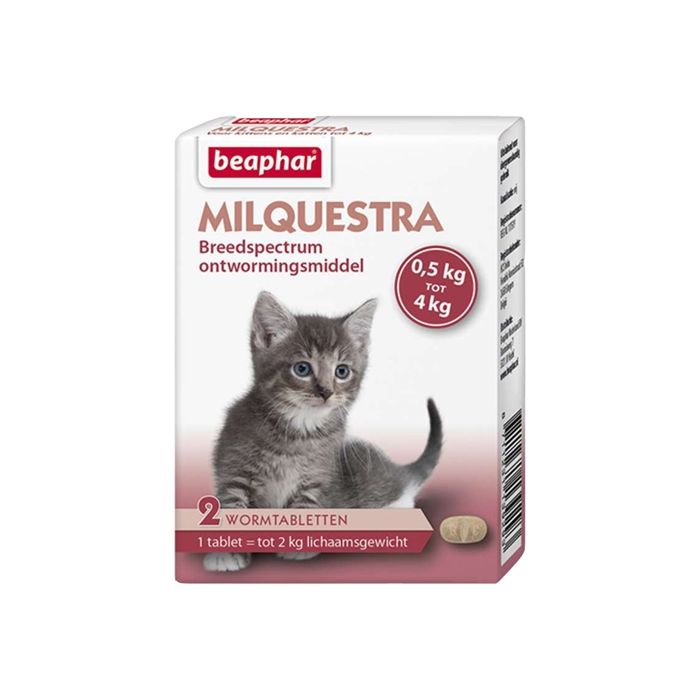 Beaphar milquestra kleine kat / kitten