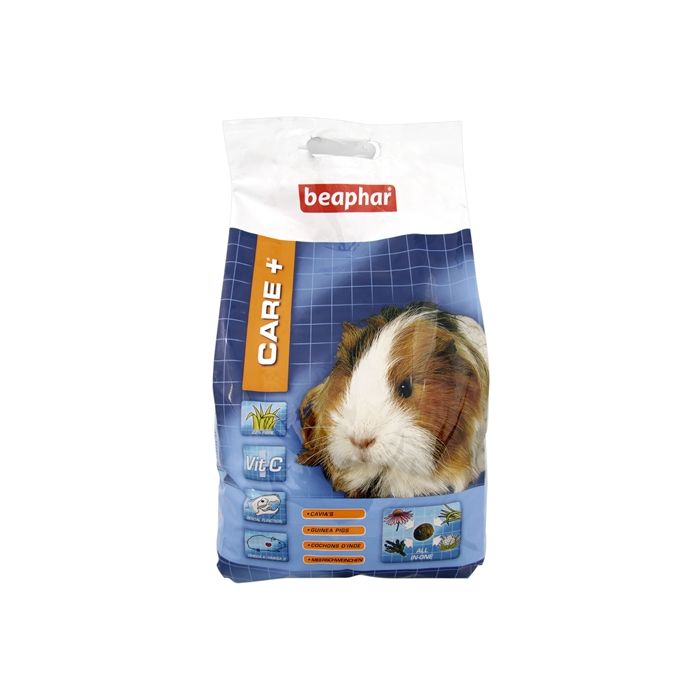 Care+ cavia