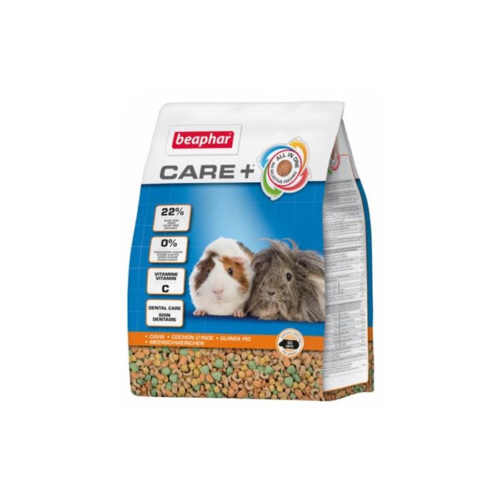 Care+ cavia