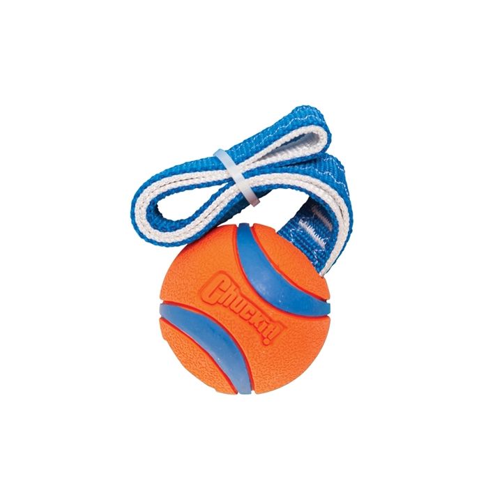 Chuckit ultra tug