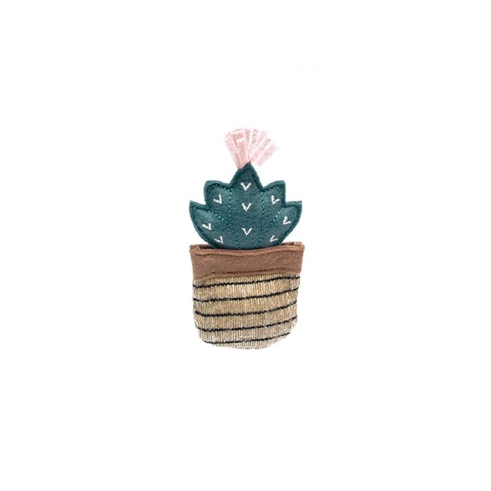 Fofos cactus toluca
