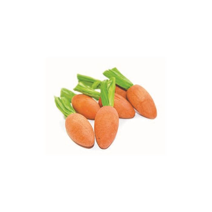 Happy pet carrot nibblers knaaghout