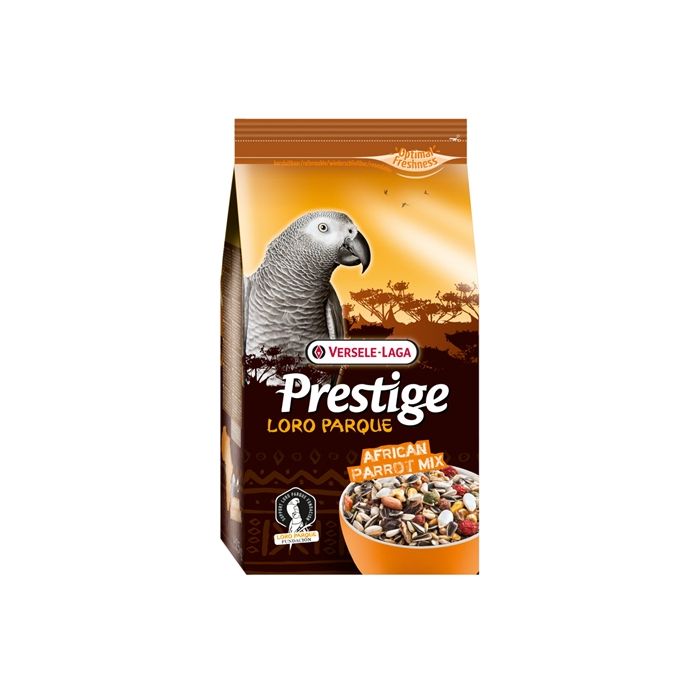 Prestige premium afrikaanse papegaai