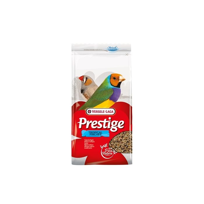 Prestige tropische vogel