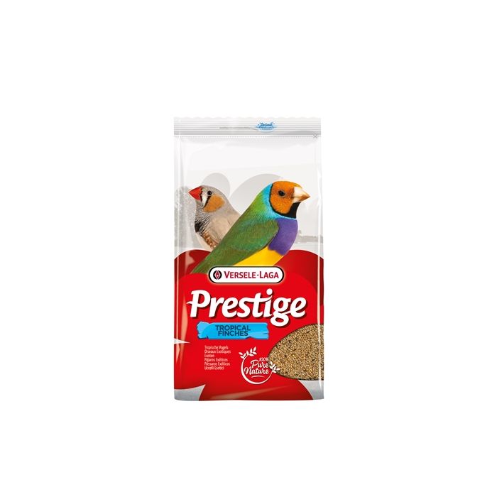 Prestige tropische vogel