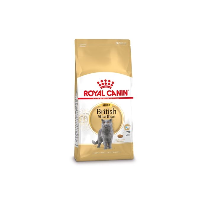 Royal canin british shorthair