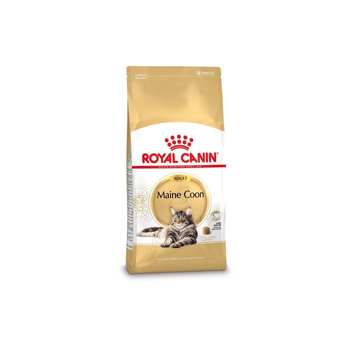 Royal canin maine coon