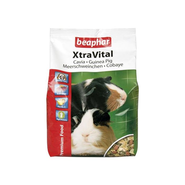 Xtravital cavia